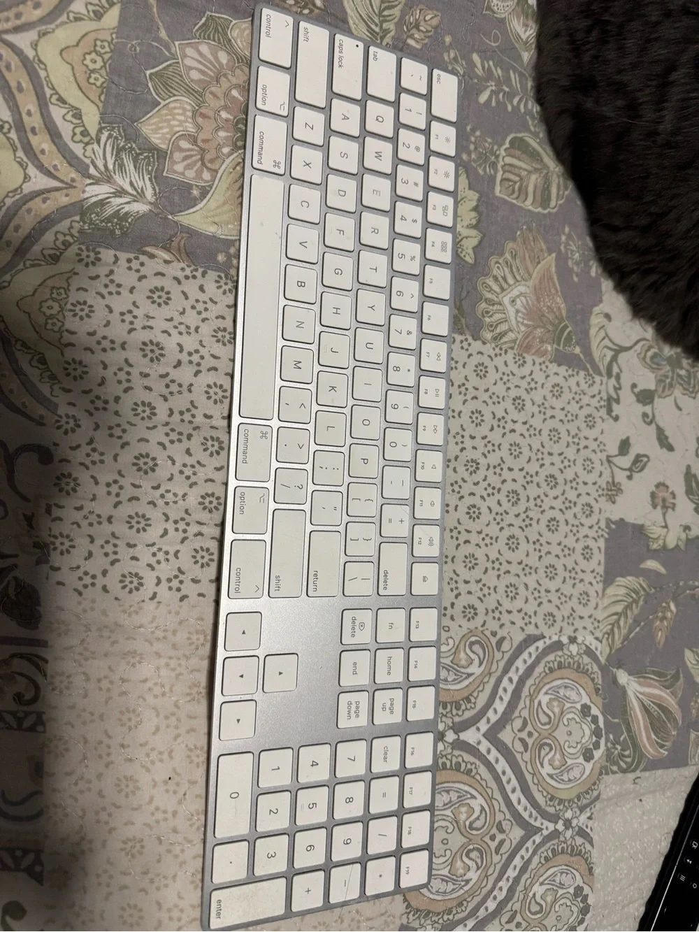 Apple Wireless Keyboard - Silver and White